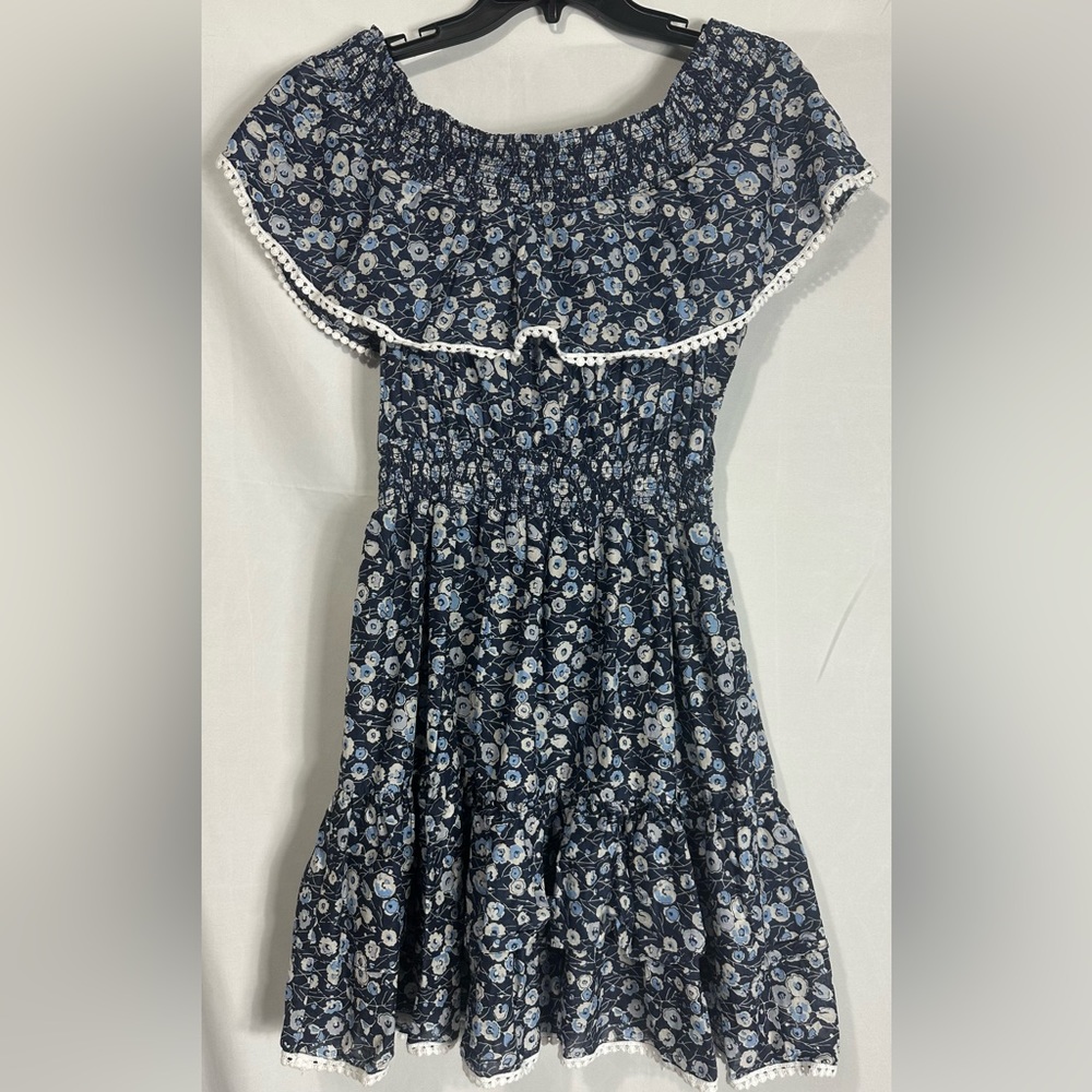 Eva Mendes New York & Company dress